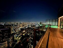 The Ritz-Carlton  (D9), Condominium #543951071